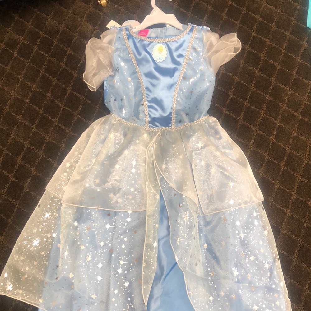 Cinderella Princess Dress